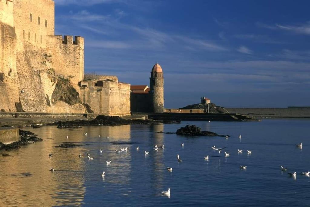 Joli T2 Vue Mer Au Calme. Collioure Exterior photo